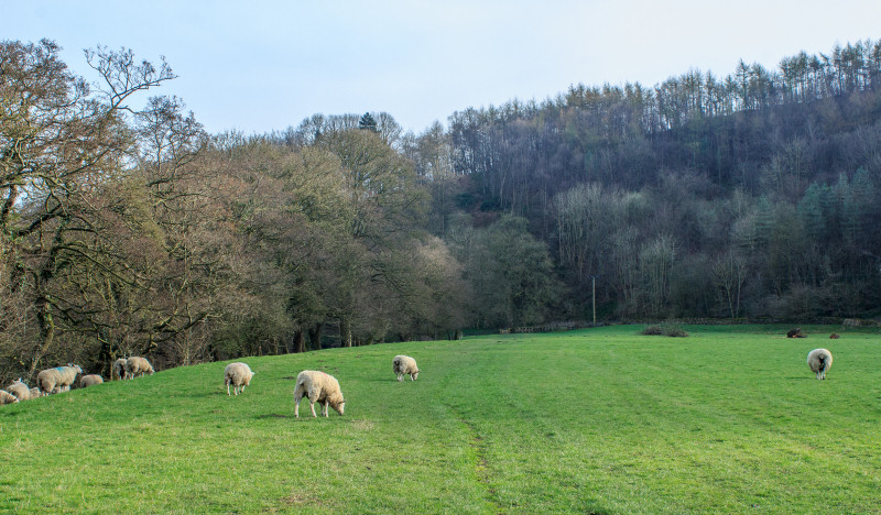 Derwent Valley Way Derwent Valley Way